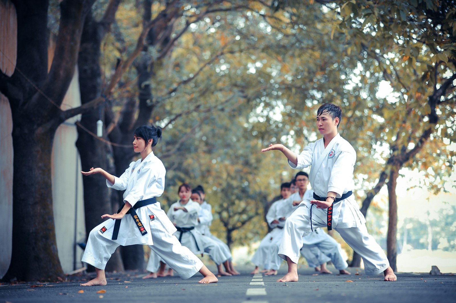 Karate practitioners training in synchrony outdoors